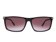 Anchor Aviator Sunglasses