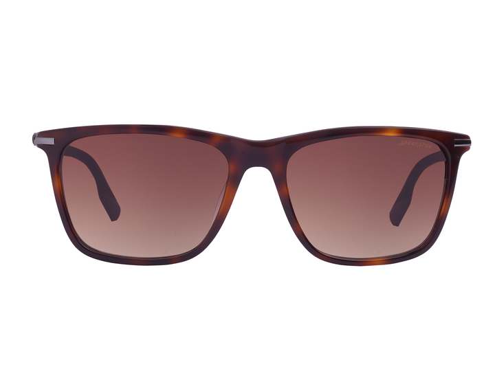 Sportster Square Sunglasses - PR54CV