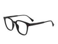Sportster Square Frames