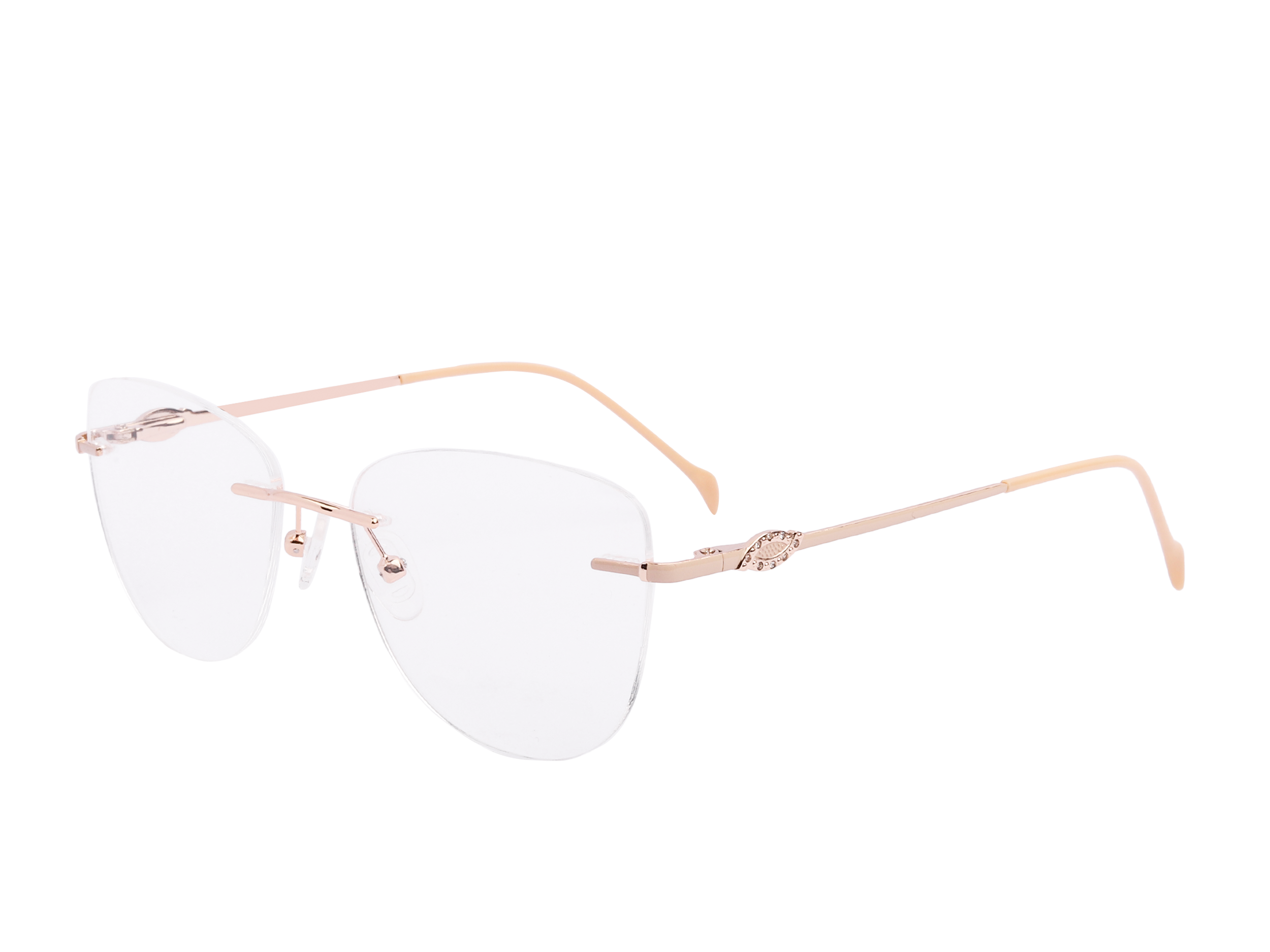 12054