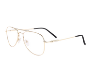 Sportster Round Frames