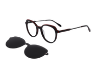 Rosa Valentine Clip On Frames