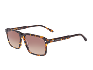 Sportster Square Frames