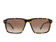 Sportster Square Frames