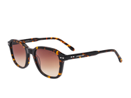 Sportster Square Frames