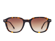 Sportster Square Frames