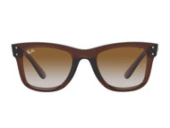 Rayban Round Sunglasses