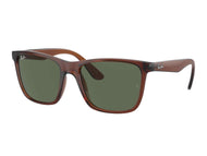 Rayban Cat-Eye Sunglasses