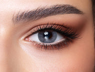 Bella Daily Bluish Gray