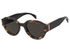 Levis Square Sunglasses
