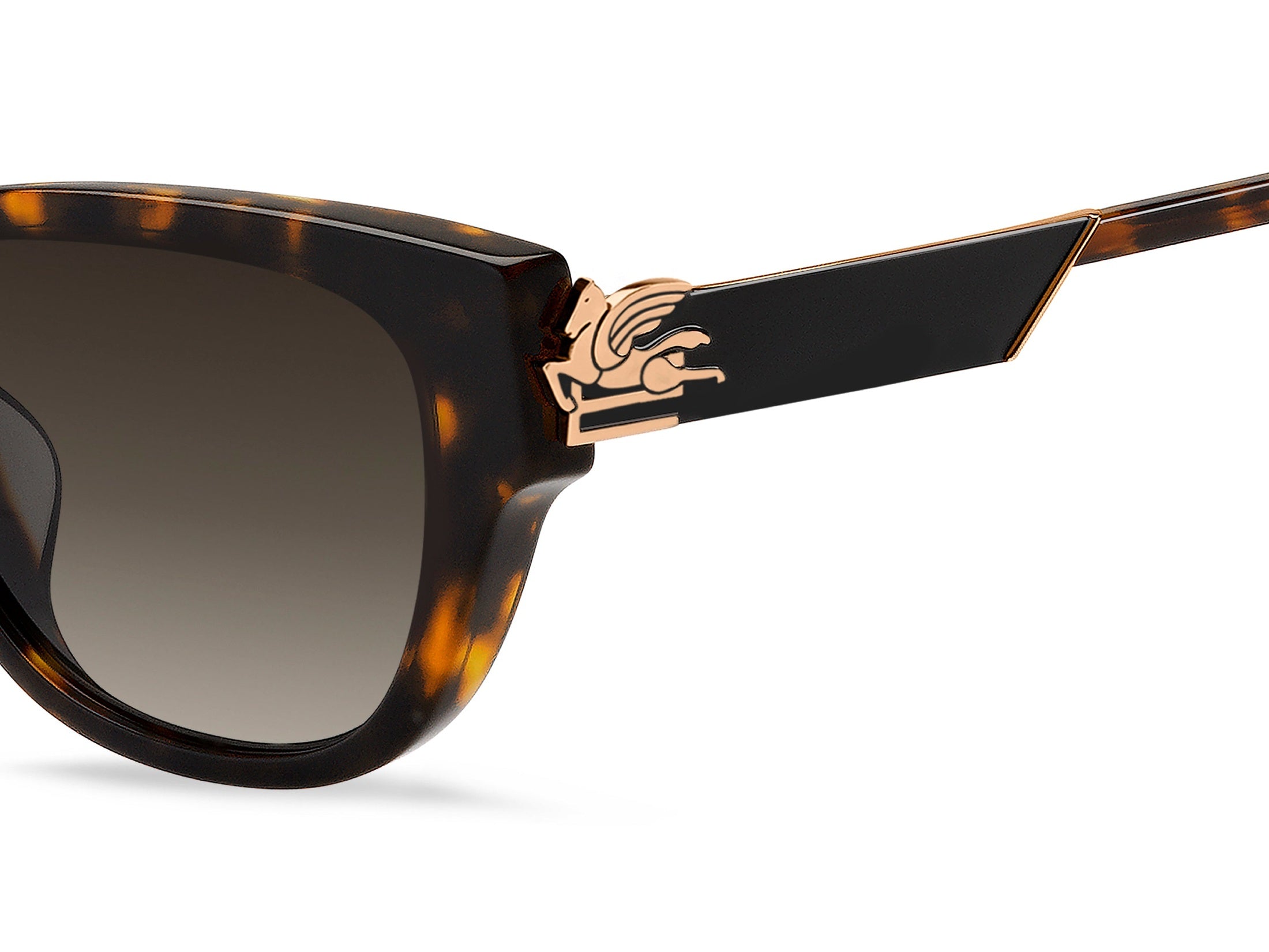 ETRO 0063/F/S