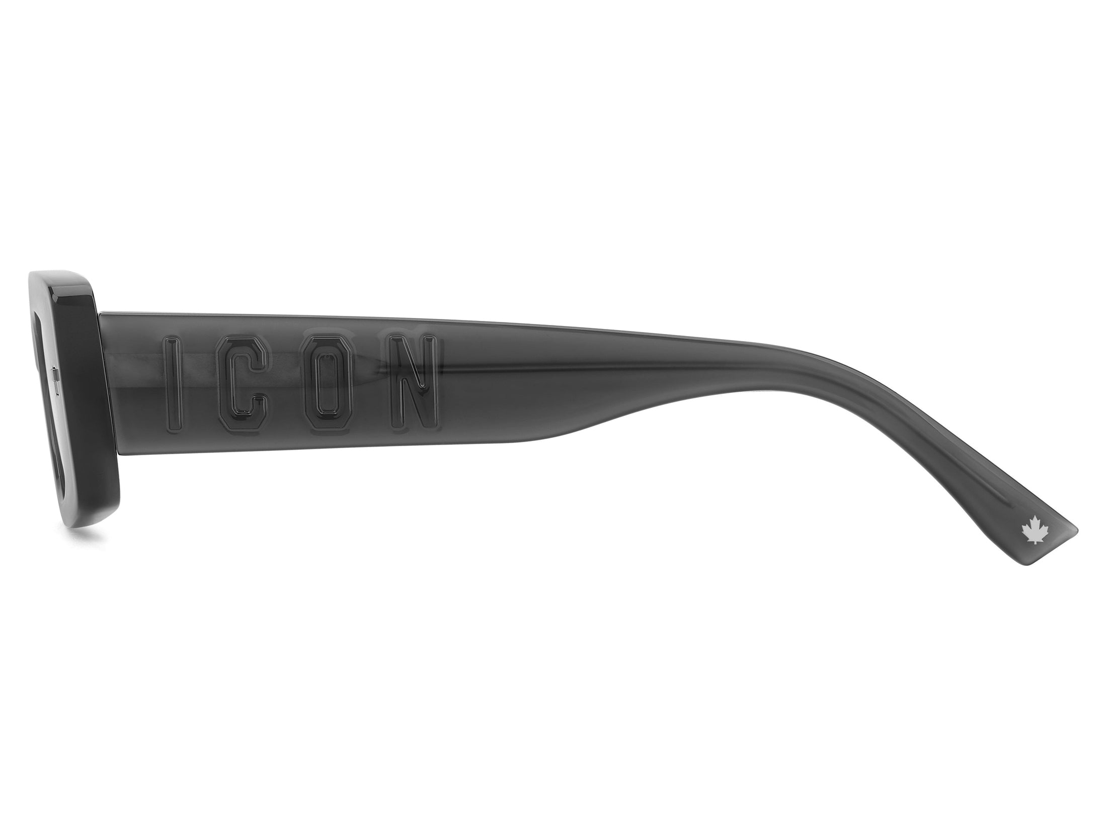 ICON 0020/S