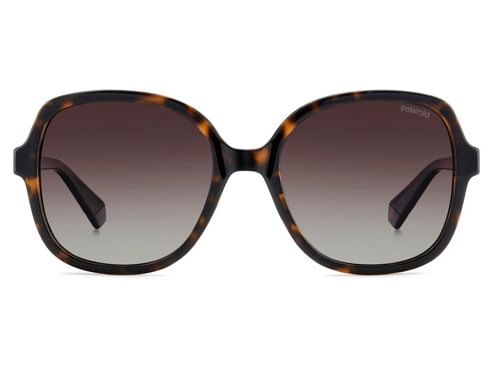Polaroid Square Sunglasses - PLD 4177/S/X