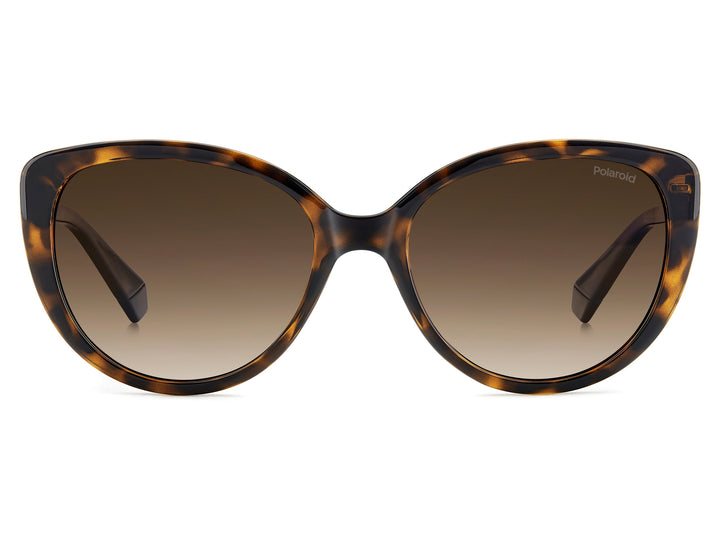 Polaroid Cat-Eye Sunglasses - PLD 4176/S/X