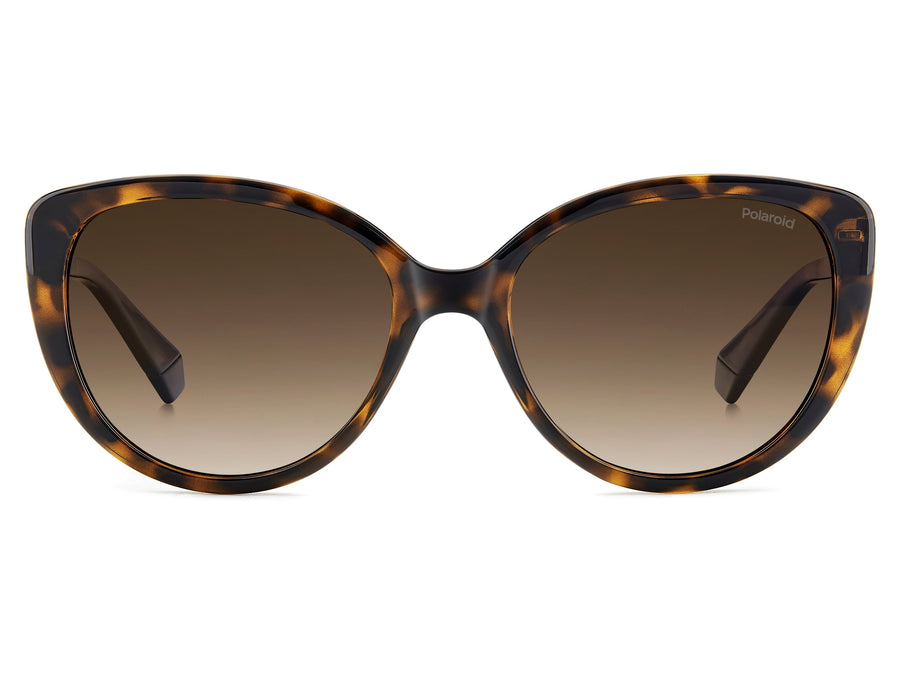 Polaroid Cat-Eye Sunglasses - PLD 4176/S/X