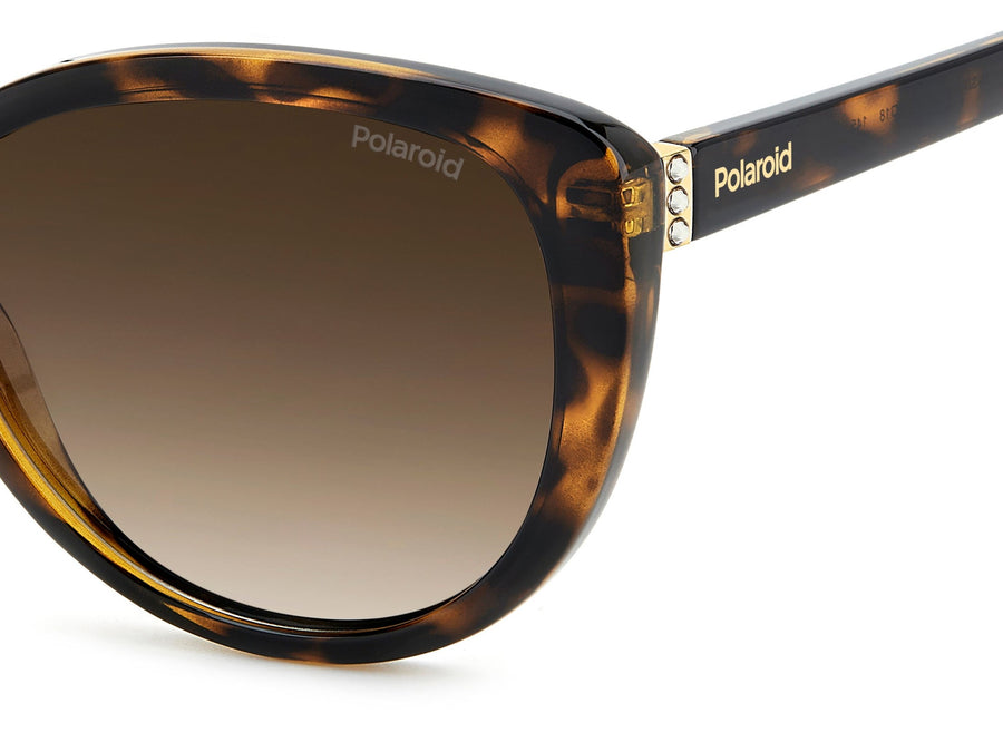Polaroid Cat-Eye Sunglasses - PLD 4176/S/X
