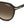 Load image into Gallery viewer, Carrera Round Sunglasses - CARRERA 342/S

