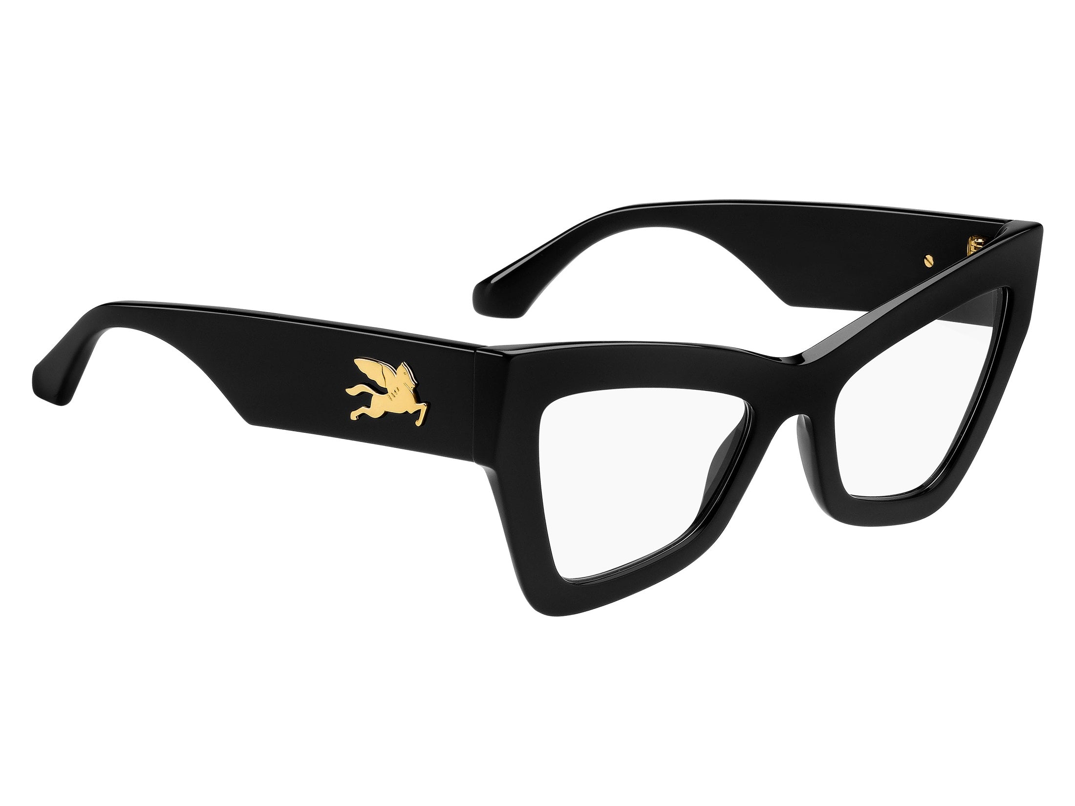 Etro Cat-Eye Frames