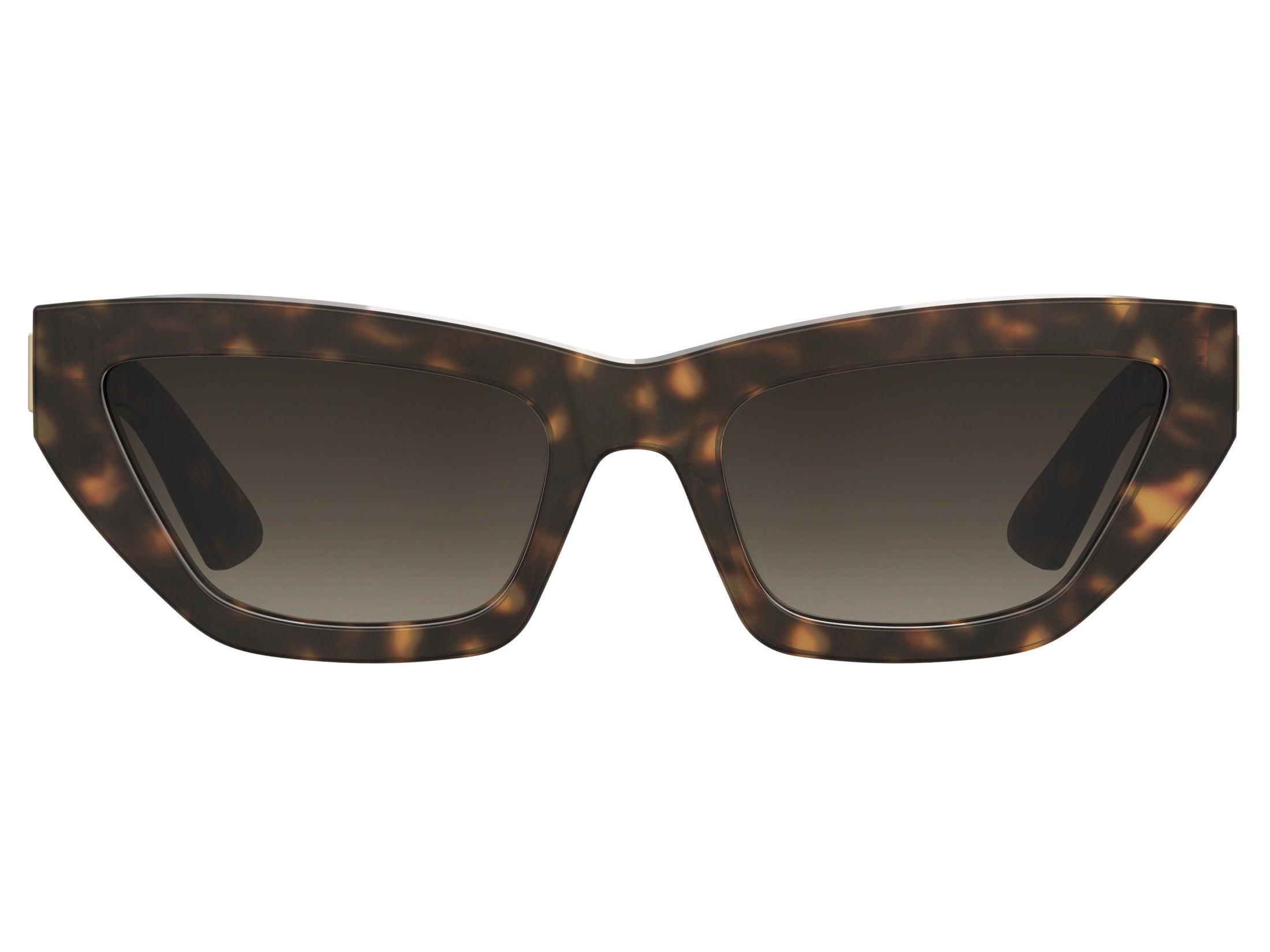 Moschino Cat-Eye Sunglasses