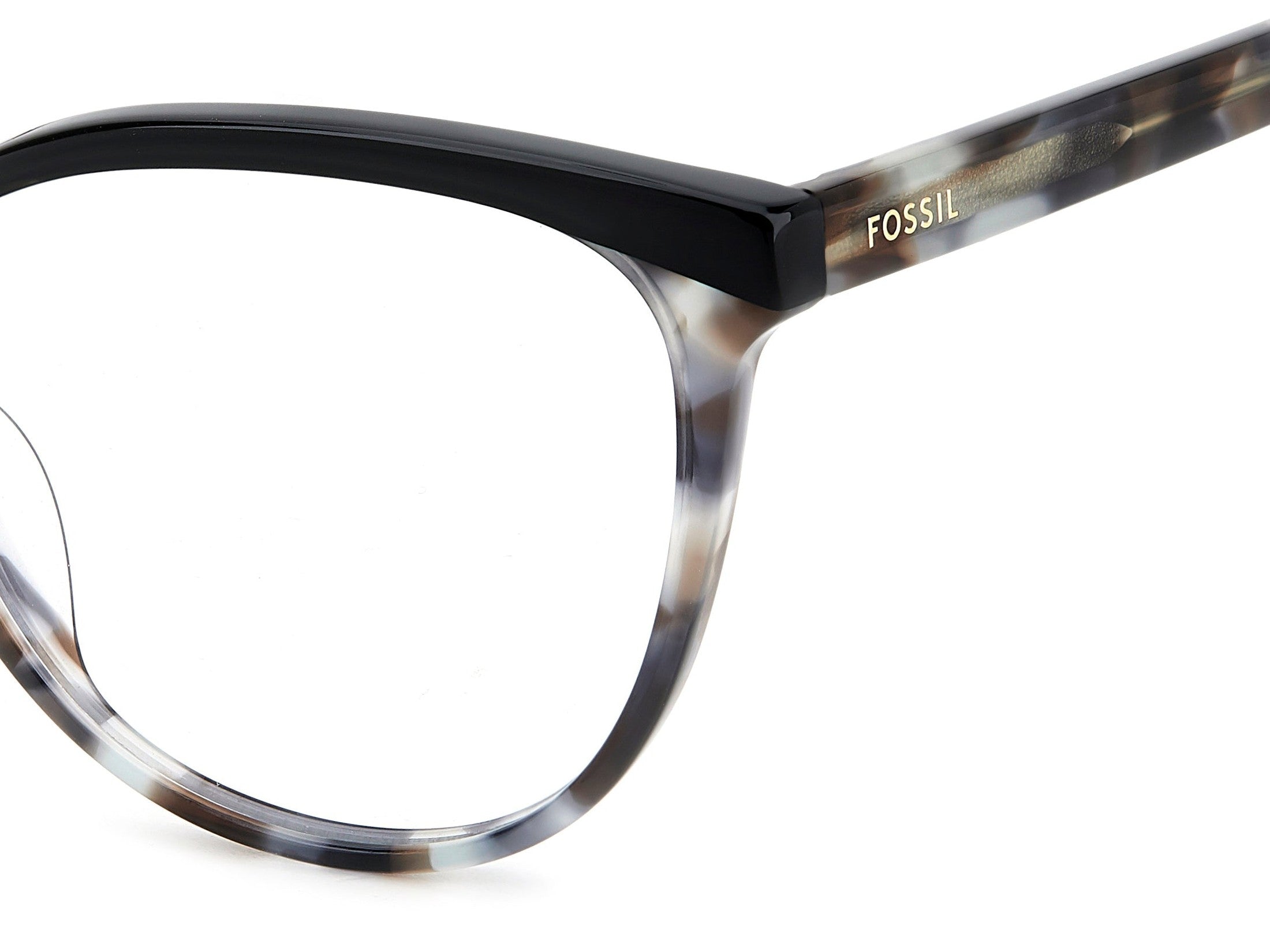 Fossil Round Frames