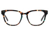 Fossil Square Frames