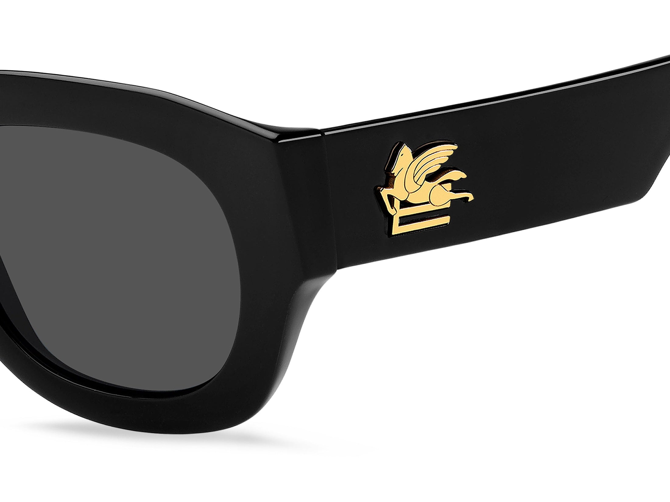 Etro Square Sunglasses