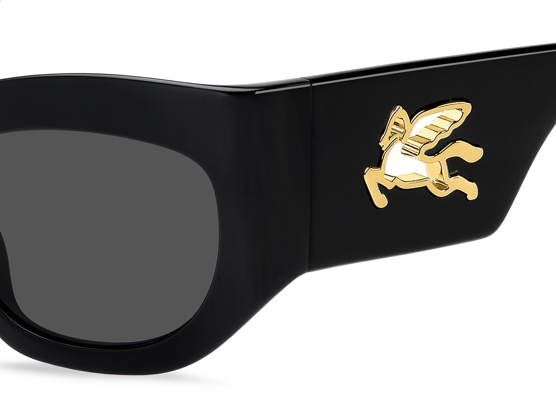 Etro Square Sunglasses