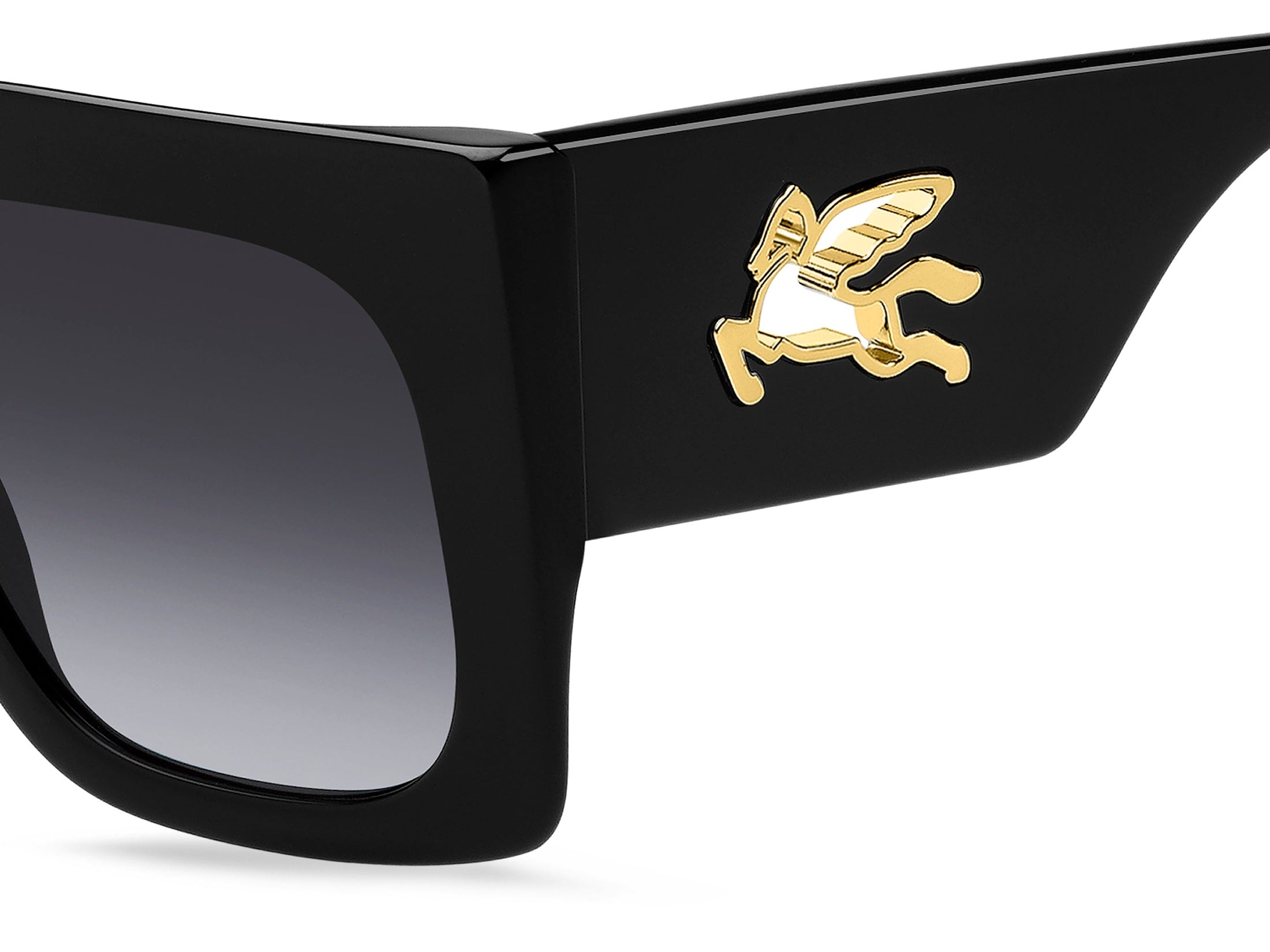 Etro Square Sunglasses