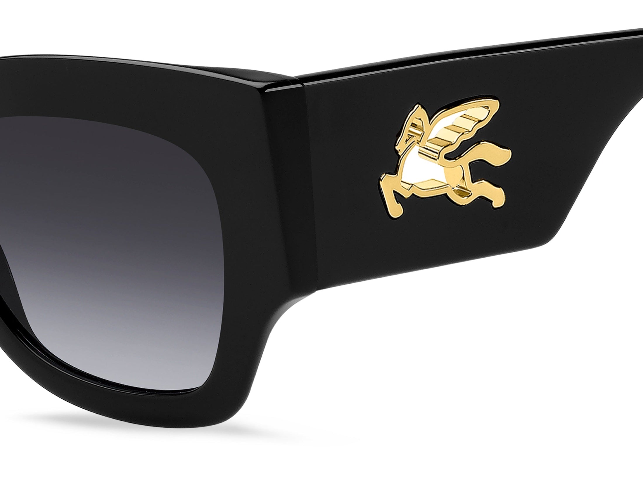 Etro Square Sunglasses