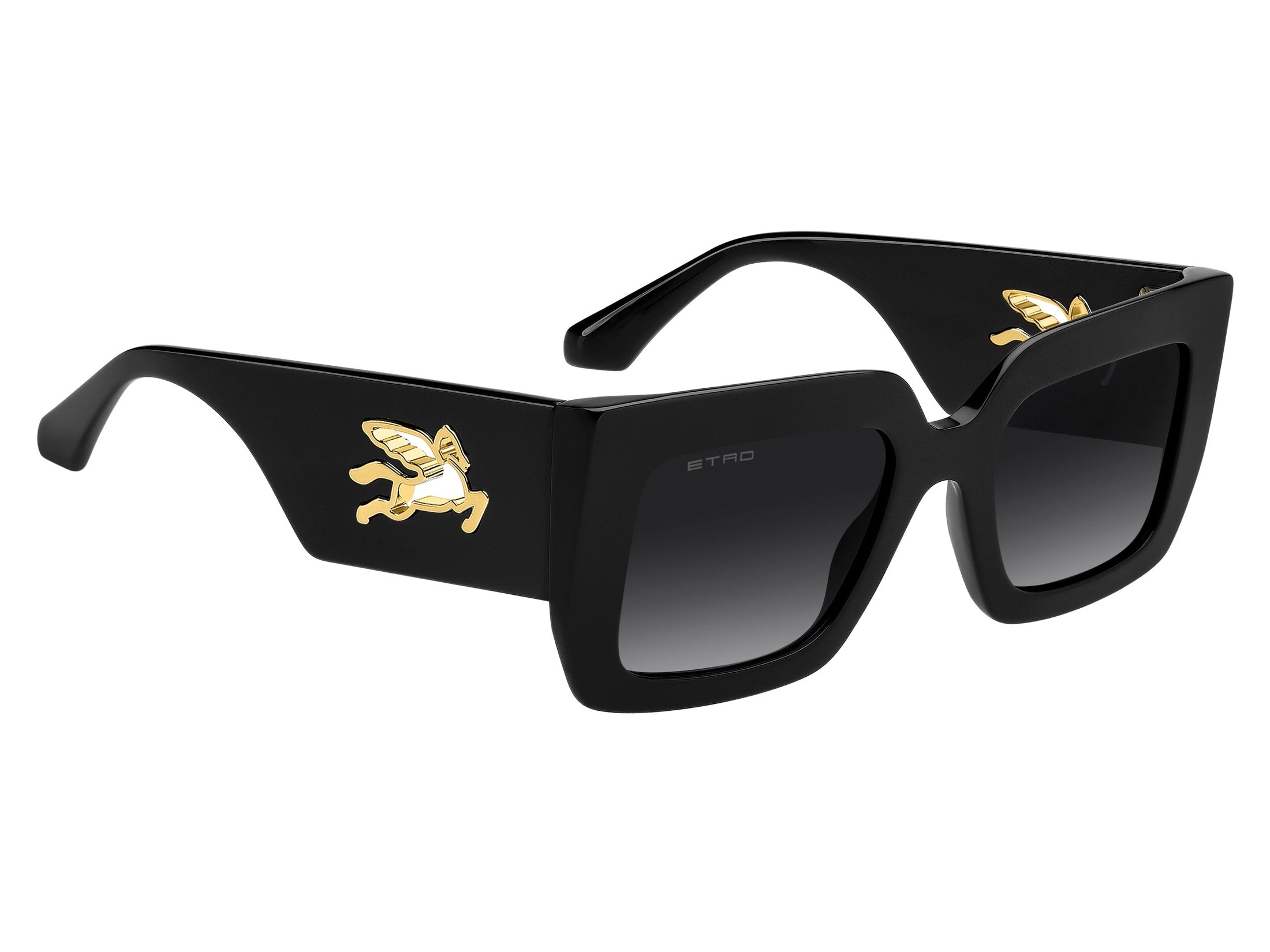 ETRO 0108/S
