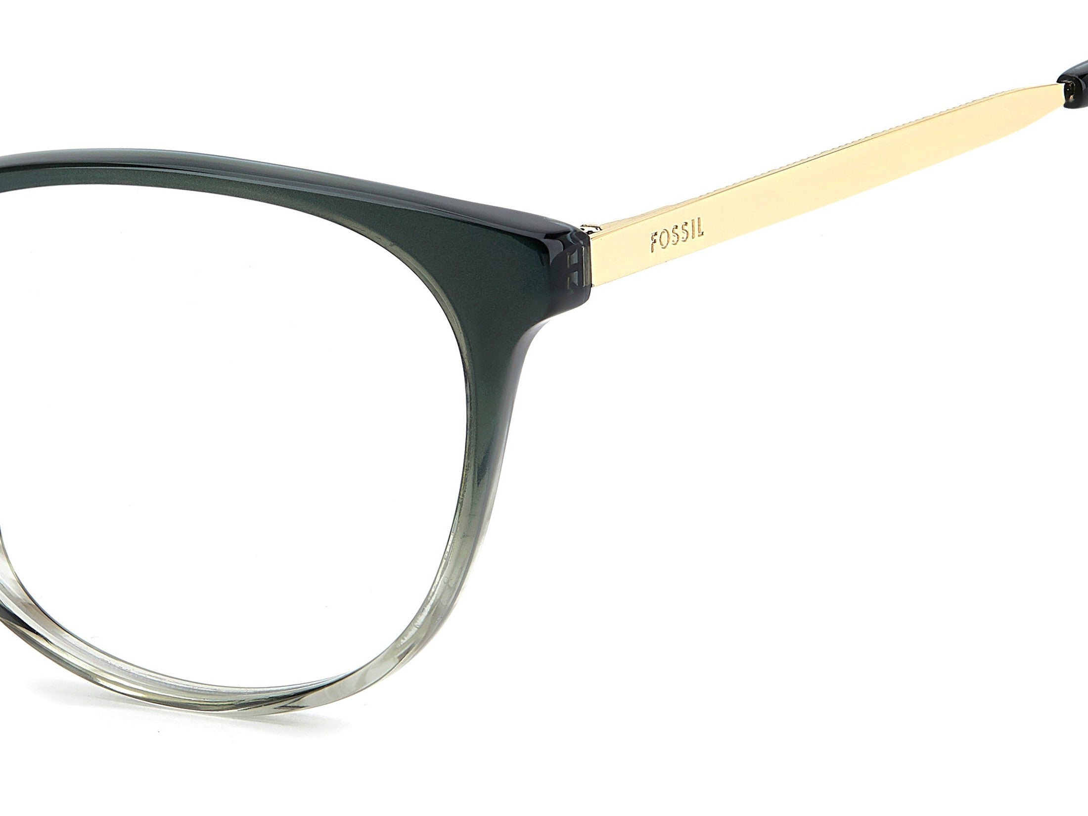 Fossil Round Frames
