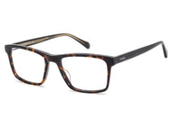 Fossil Square Frames