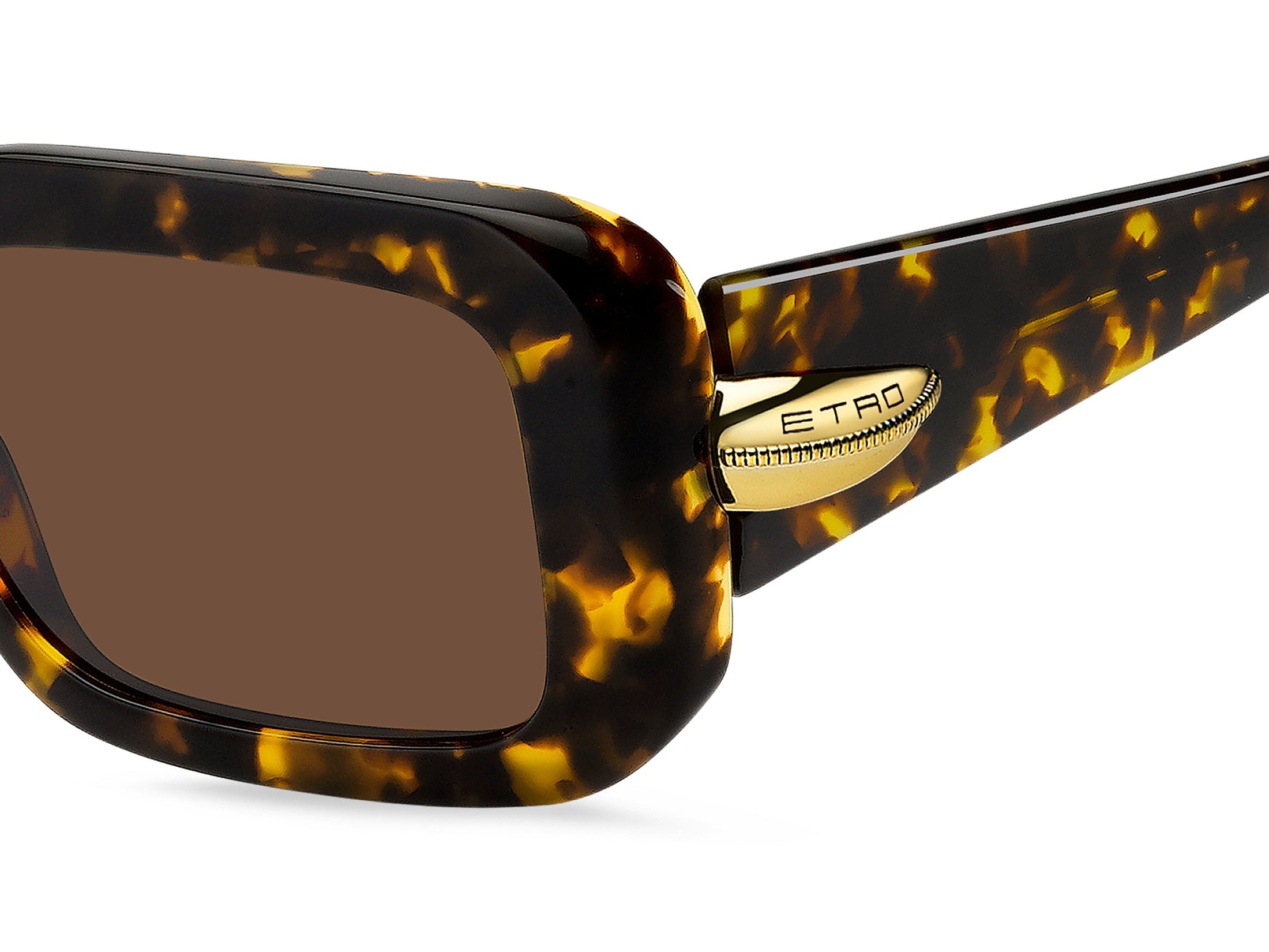 Etro Square Sunglasses