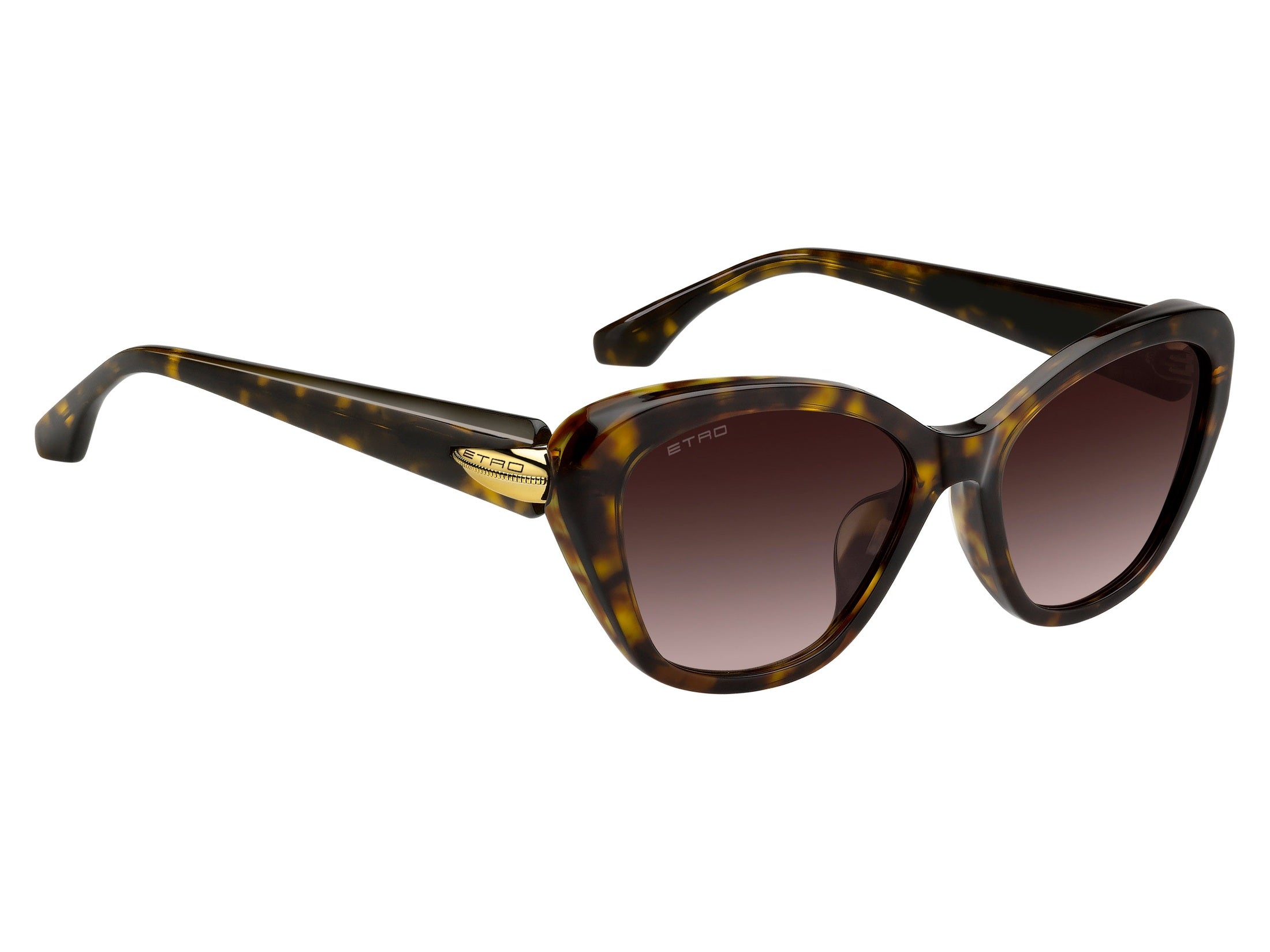 Etro Cat-Eye Sunglasses