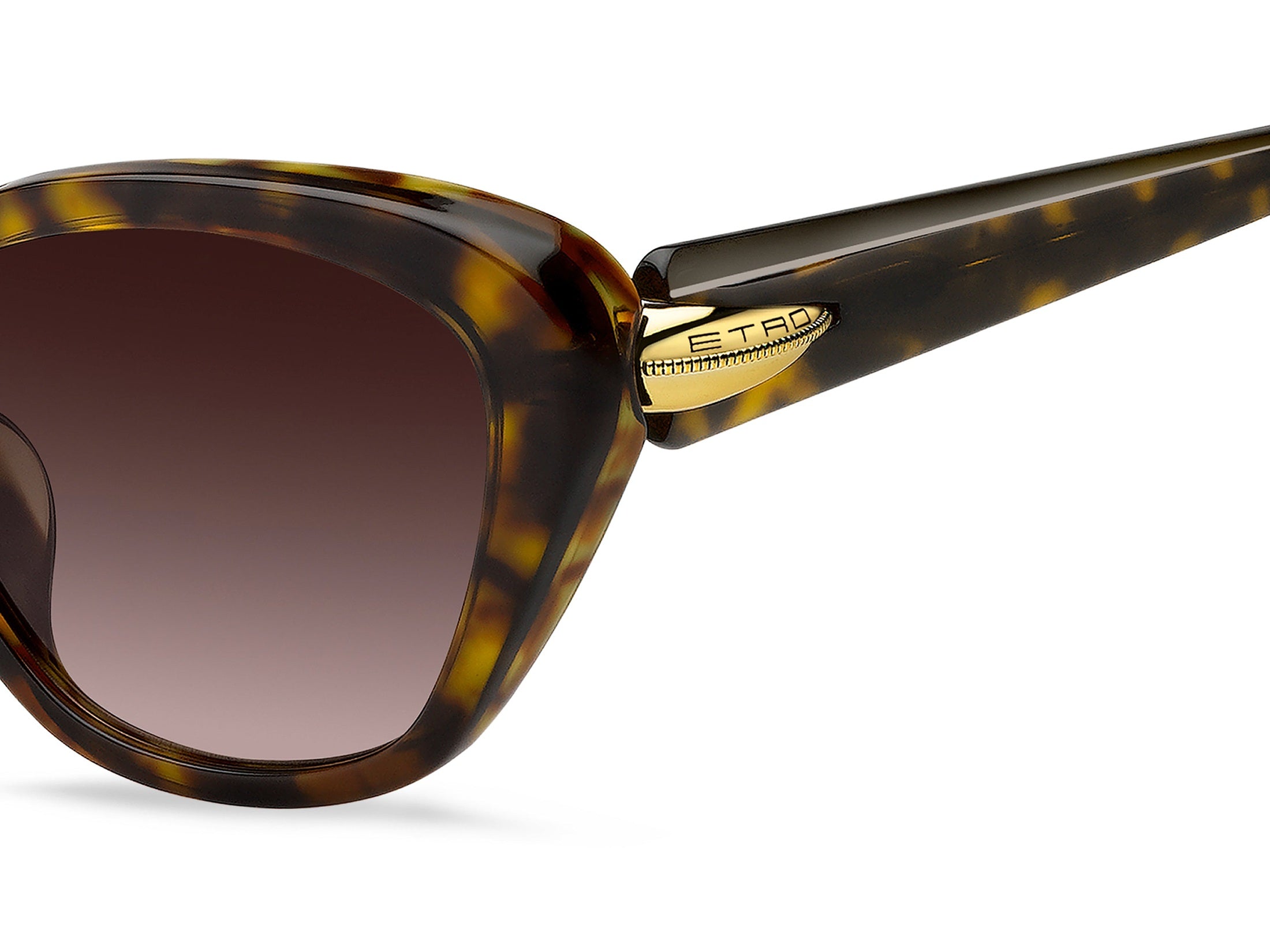 Etro Cat-Eye Sunglasses