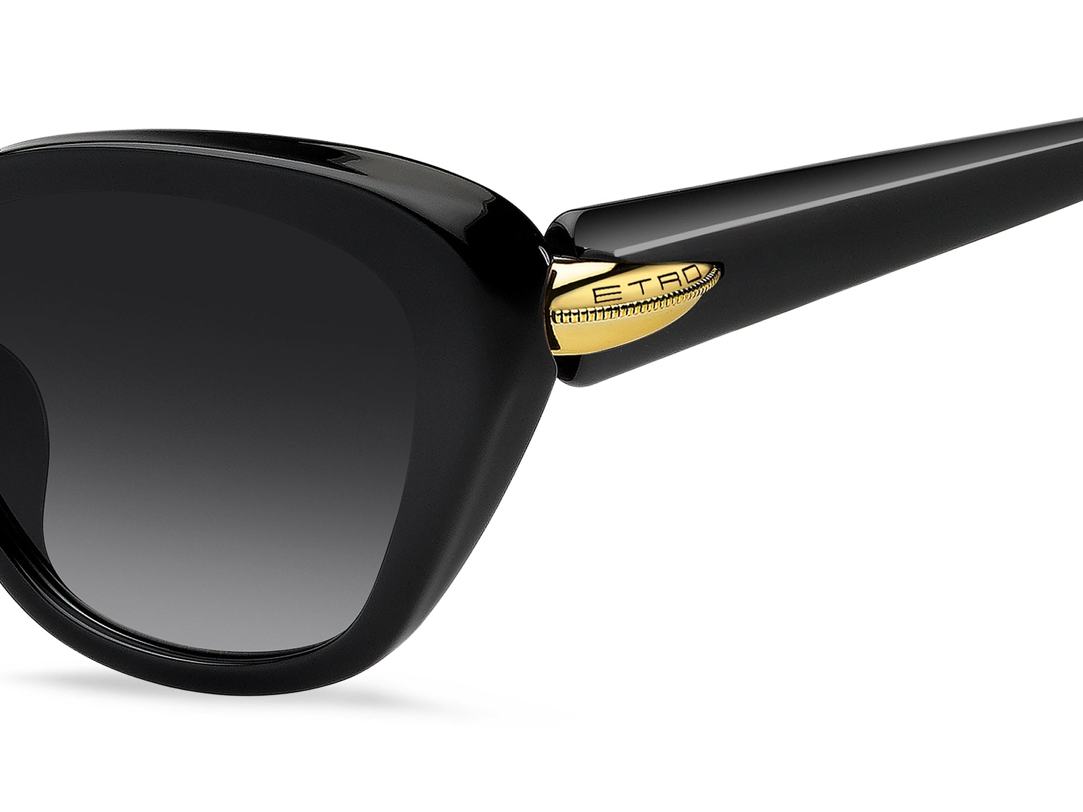 Etro Cat-Eye Sunglasses