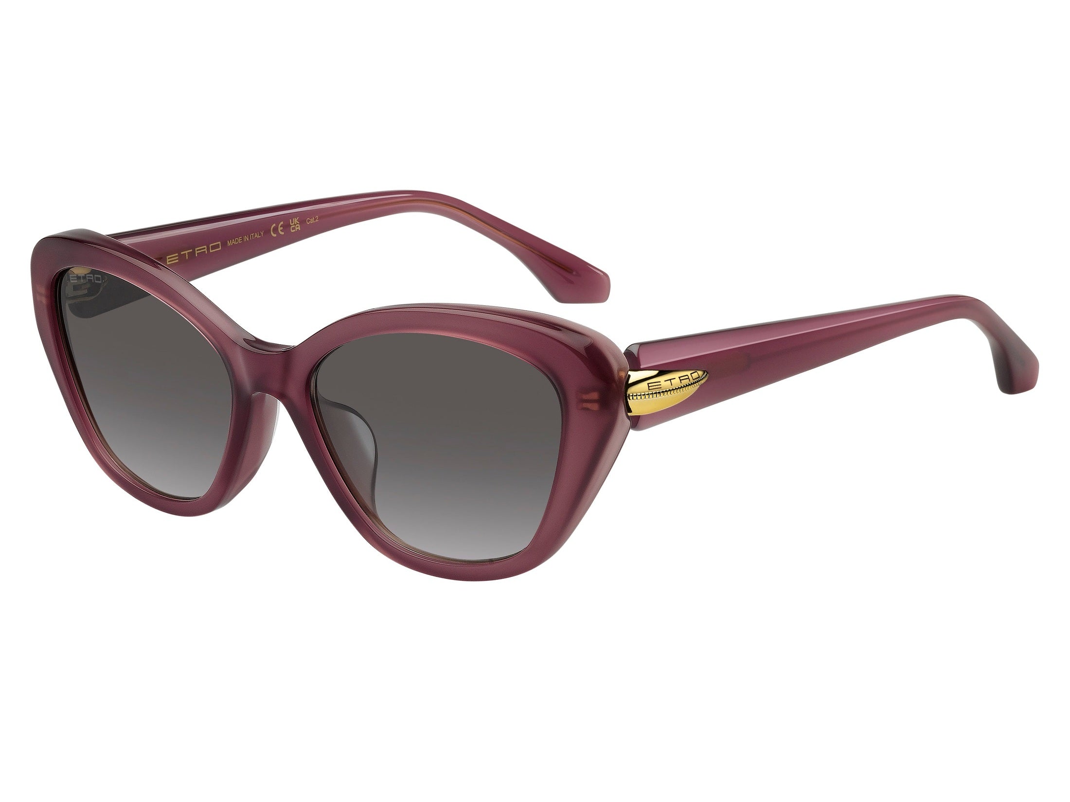 Etro Cat-Eye Sunglasses