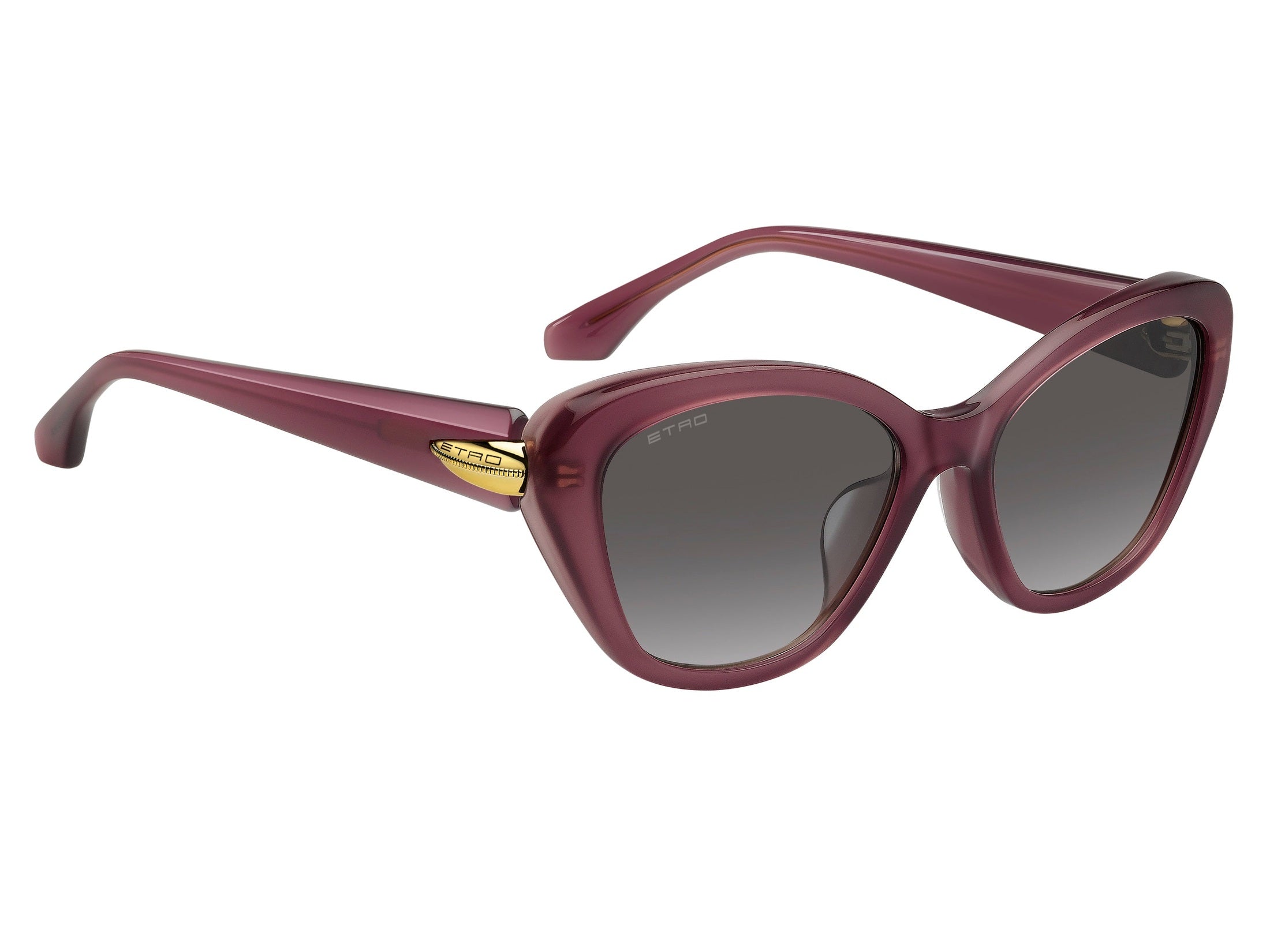 Etro Cat-Eye Sunglasses