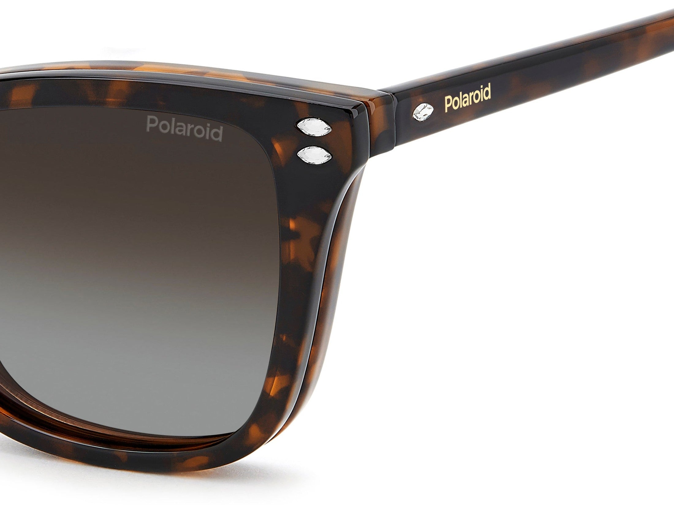 Polaroid Clip On Frames