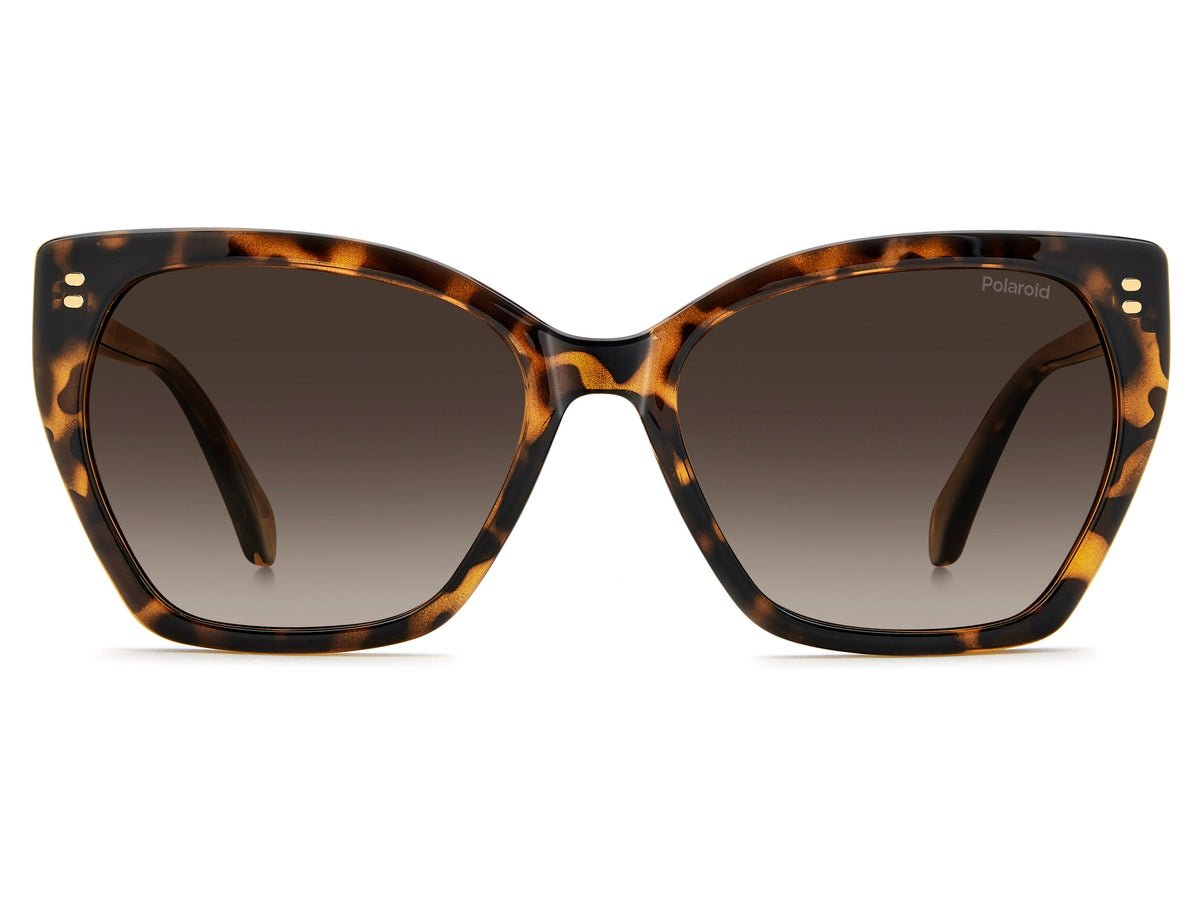 Polaroid Square Sunglasses
