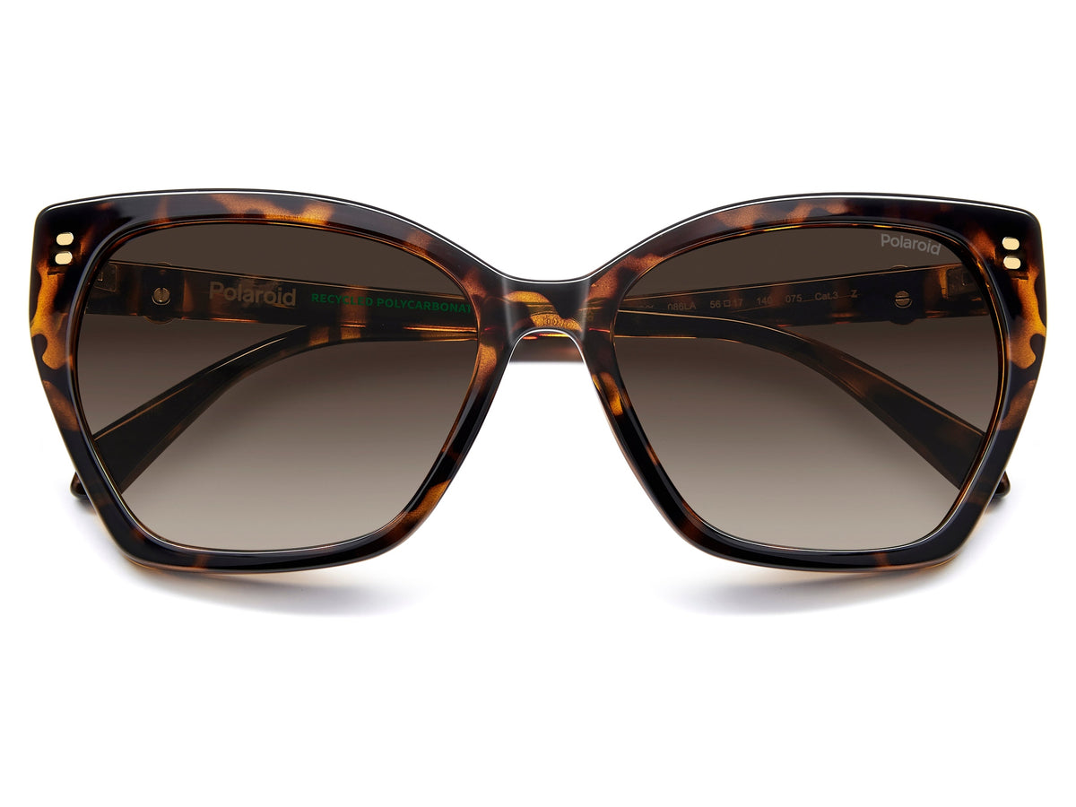 Polaroid Square Sunglasses