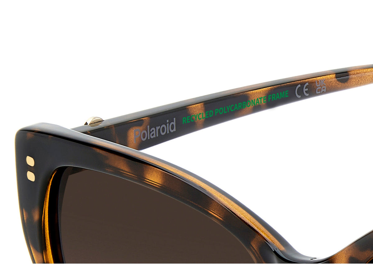 Polaroid Square Sunglasses
