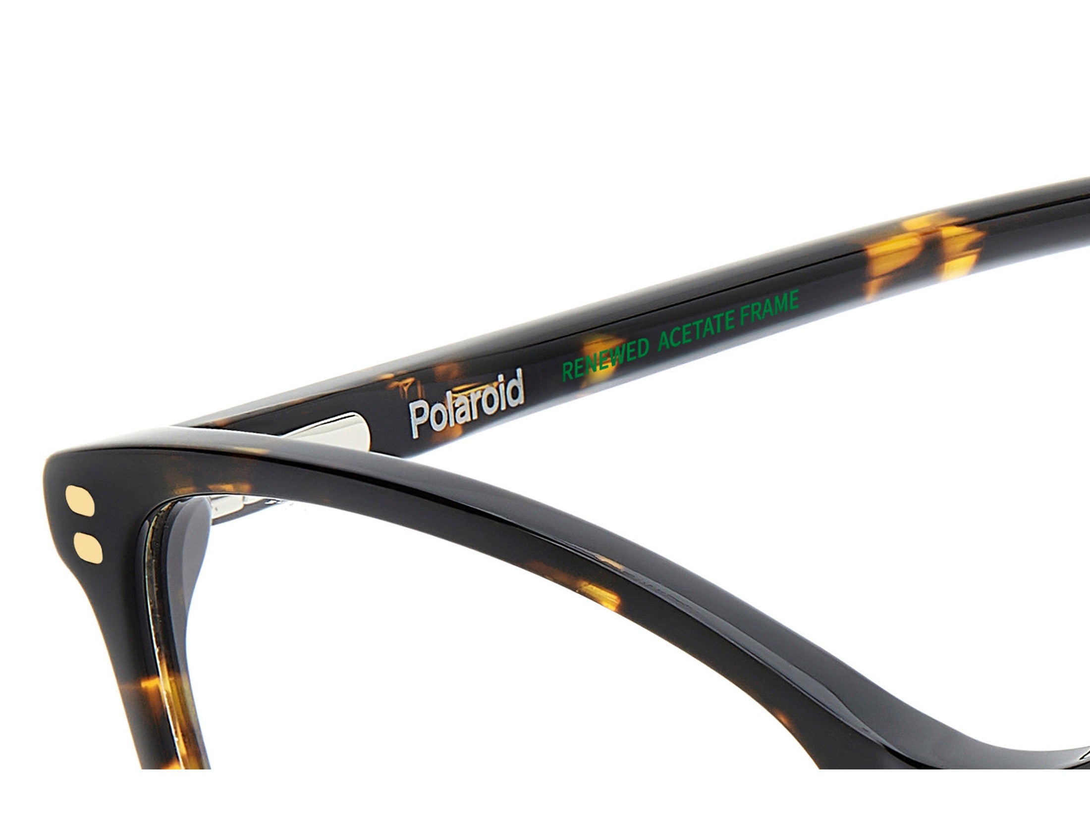 Polaroid Square Frames