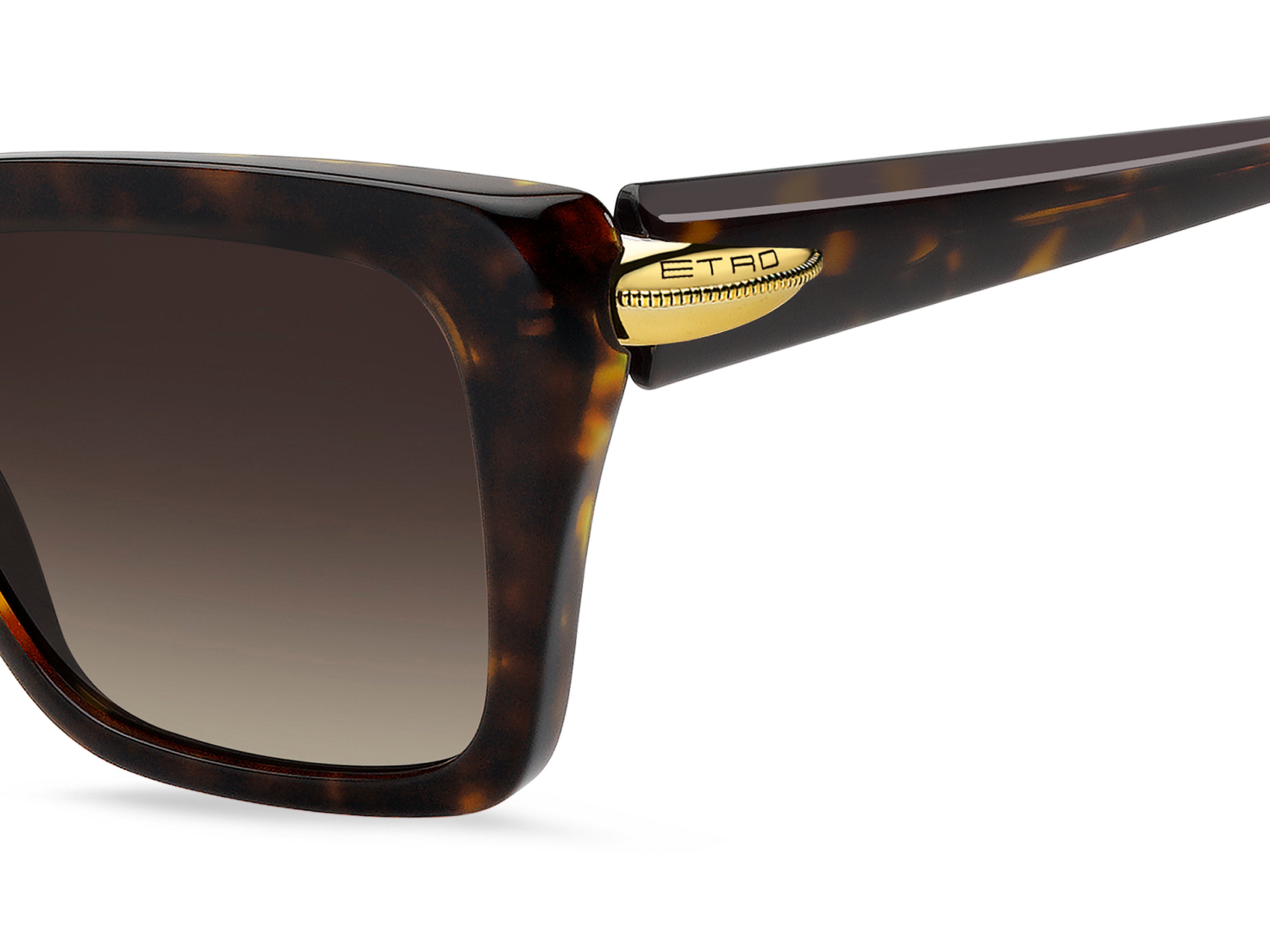 Etro Square Sunglasses