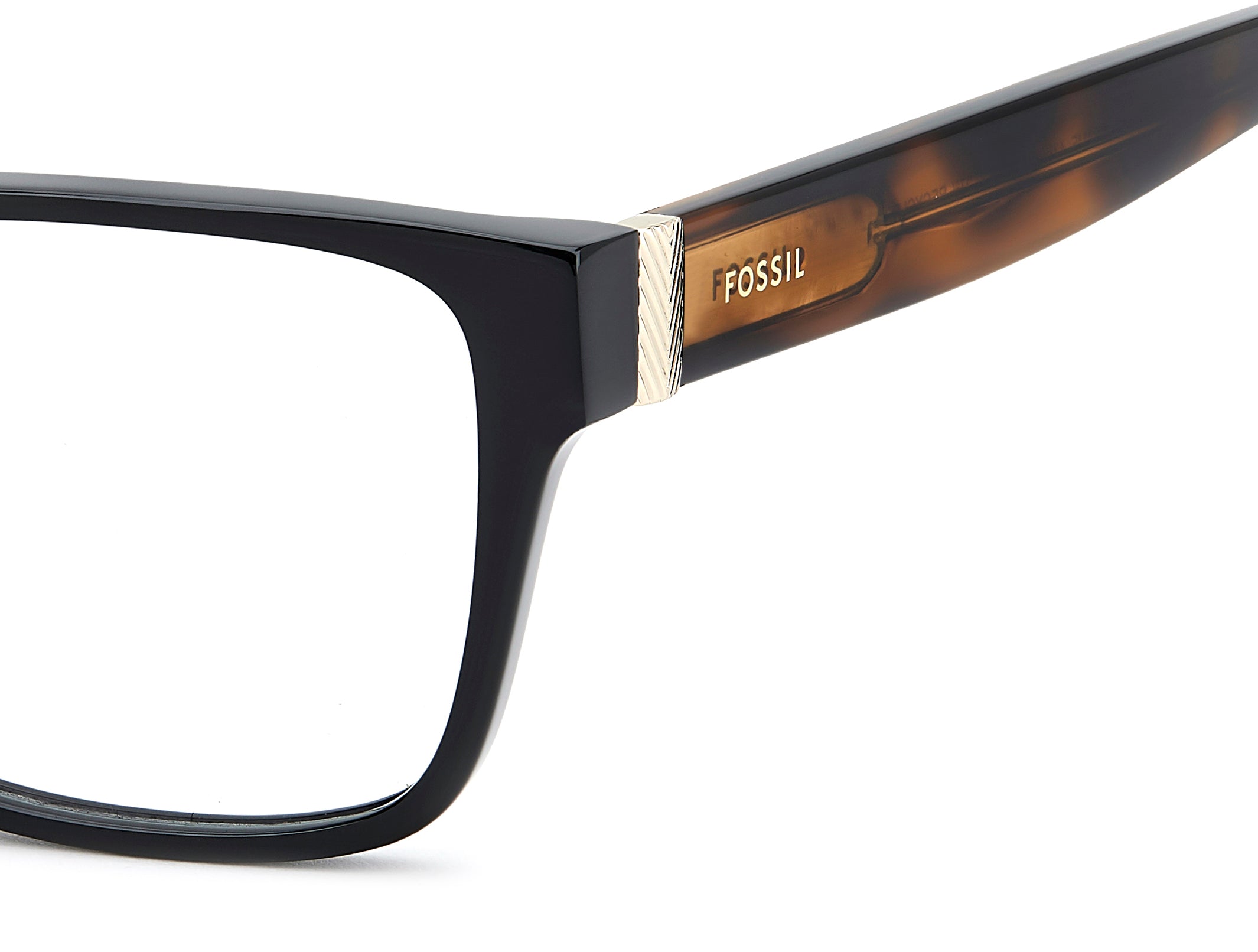 Fossil Square Frames