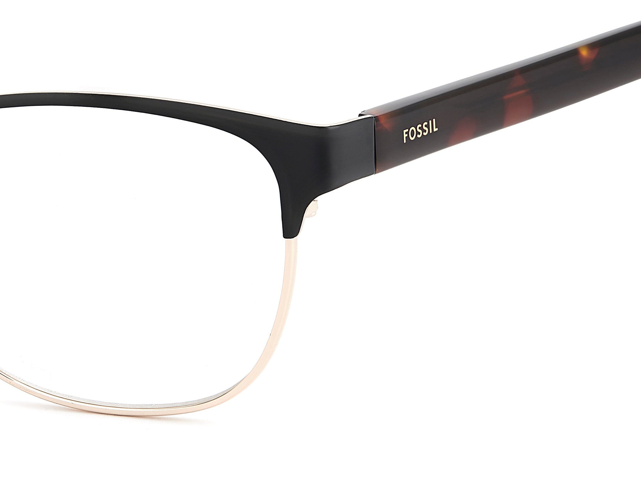 Fossil Square Frames