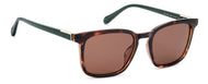 Fossil Square Sunglasses