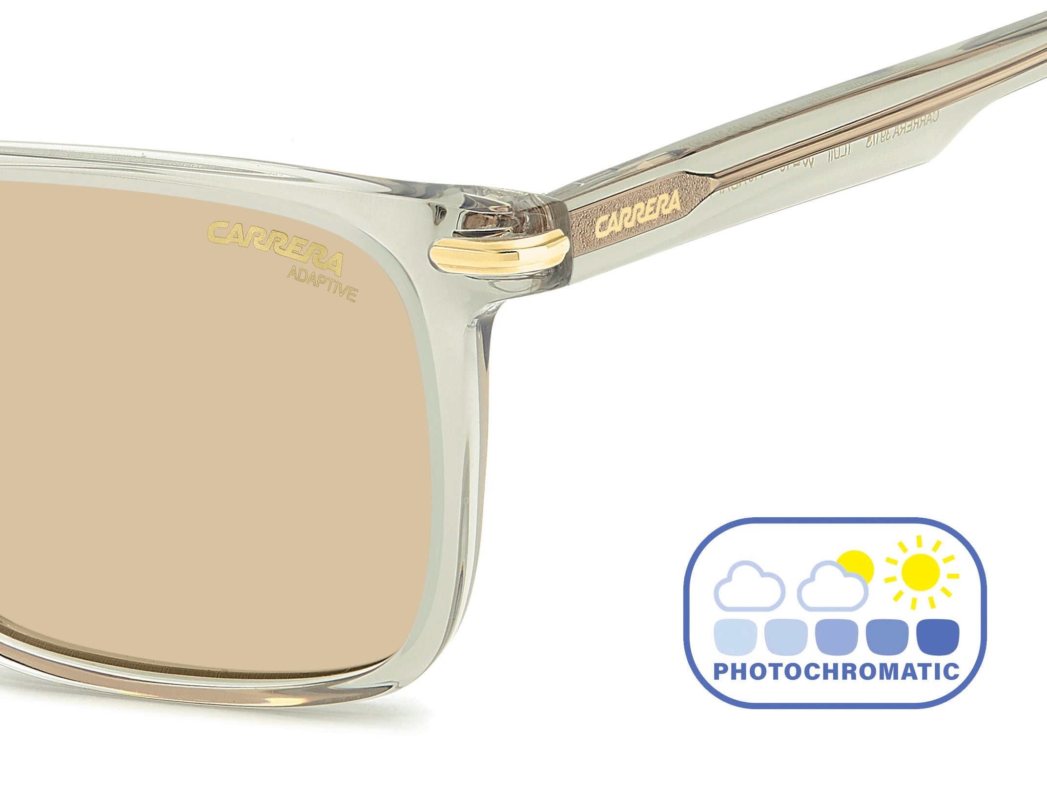 Carrera Square Sunglasses