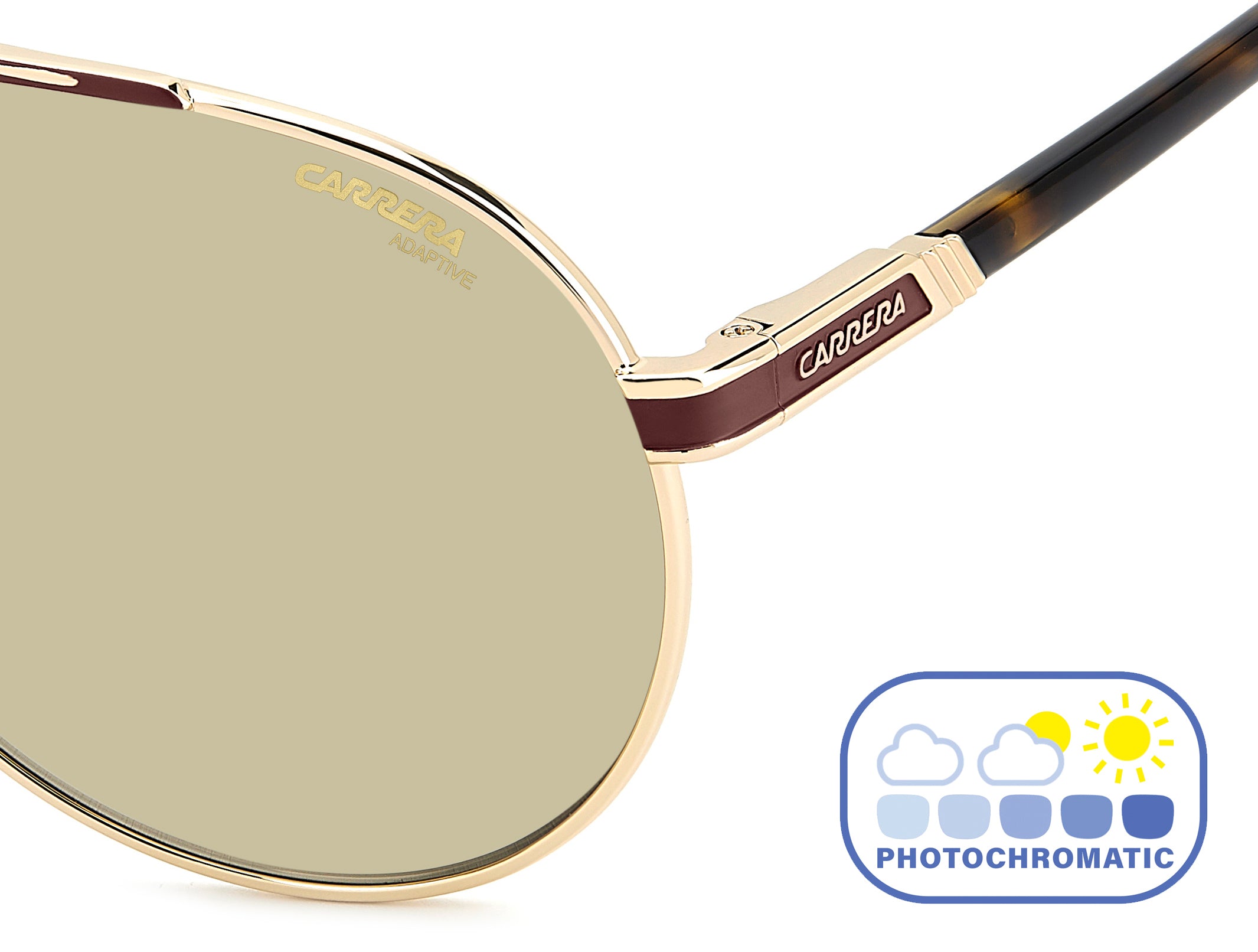 Carrera Aviator Sunglasses