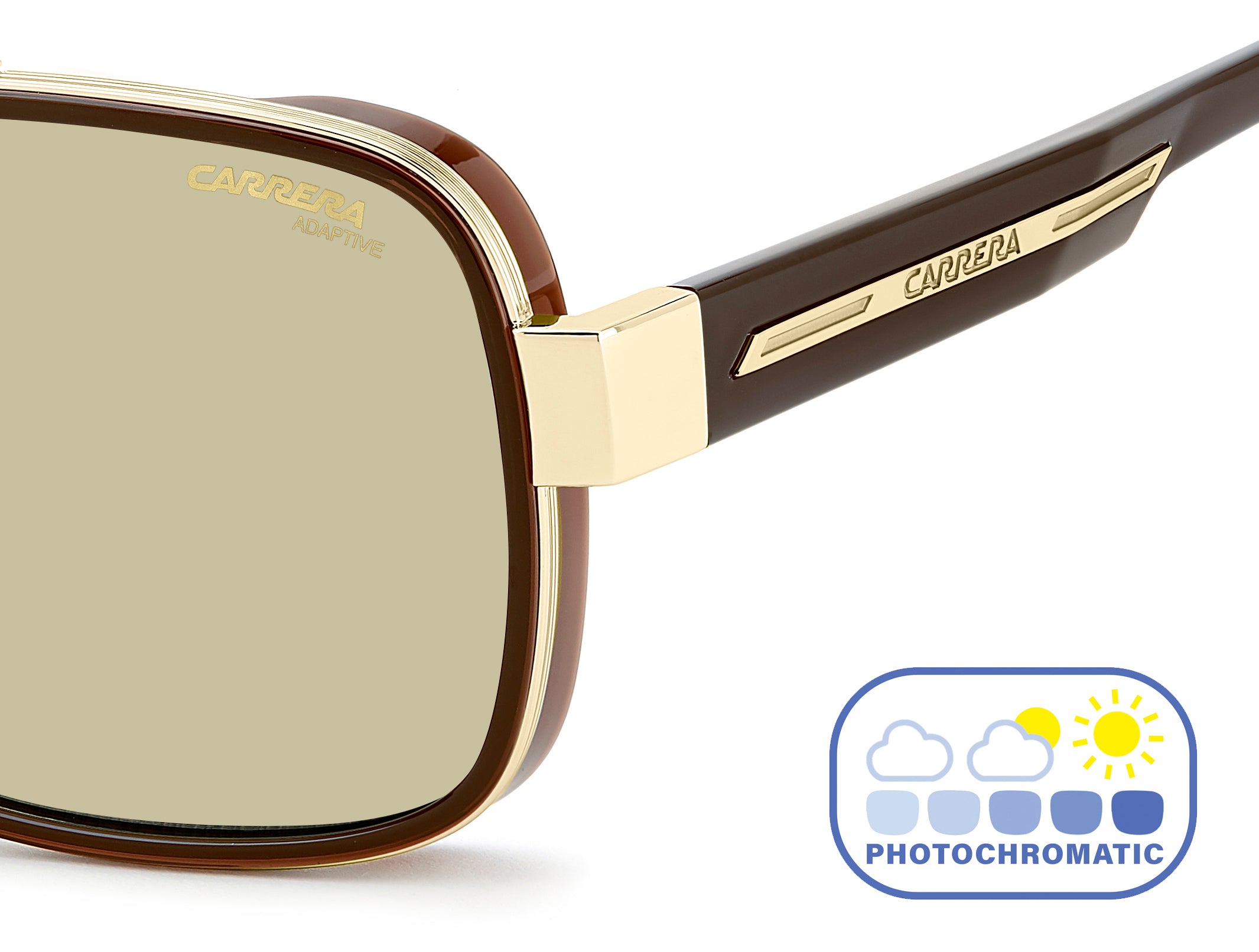 Carrera Square Sunglasses